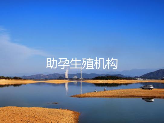 助孕生殖机构