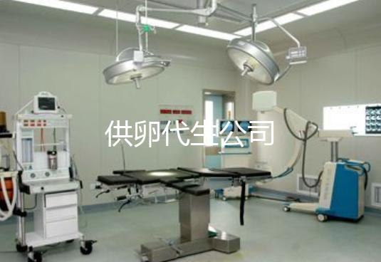 供卵代生公司